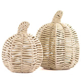 Brookshire Pumpkin Natural Large
