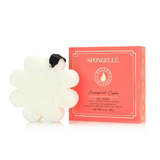Spongellé | Boxed Flower 14+ Washes Sponge - Pep & Punch