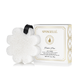 Spongellé | Boxed Flower 14+ Washes Sponge - Pep & Punch