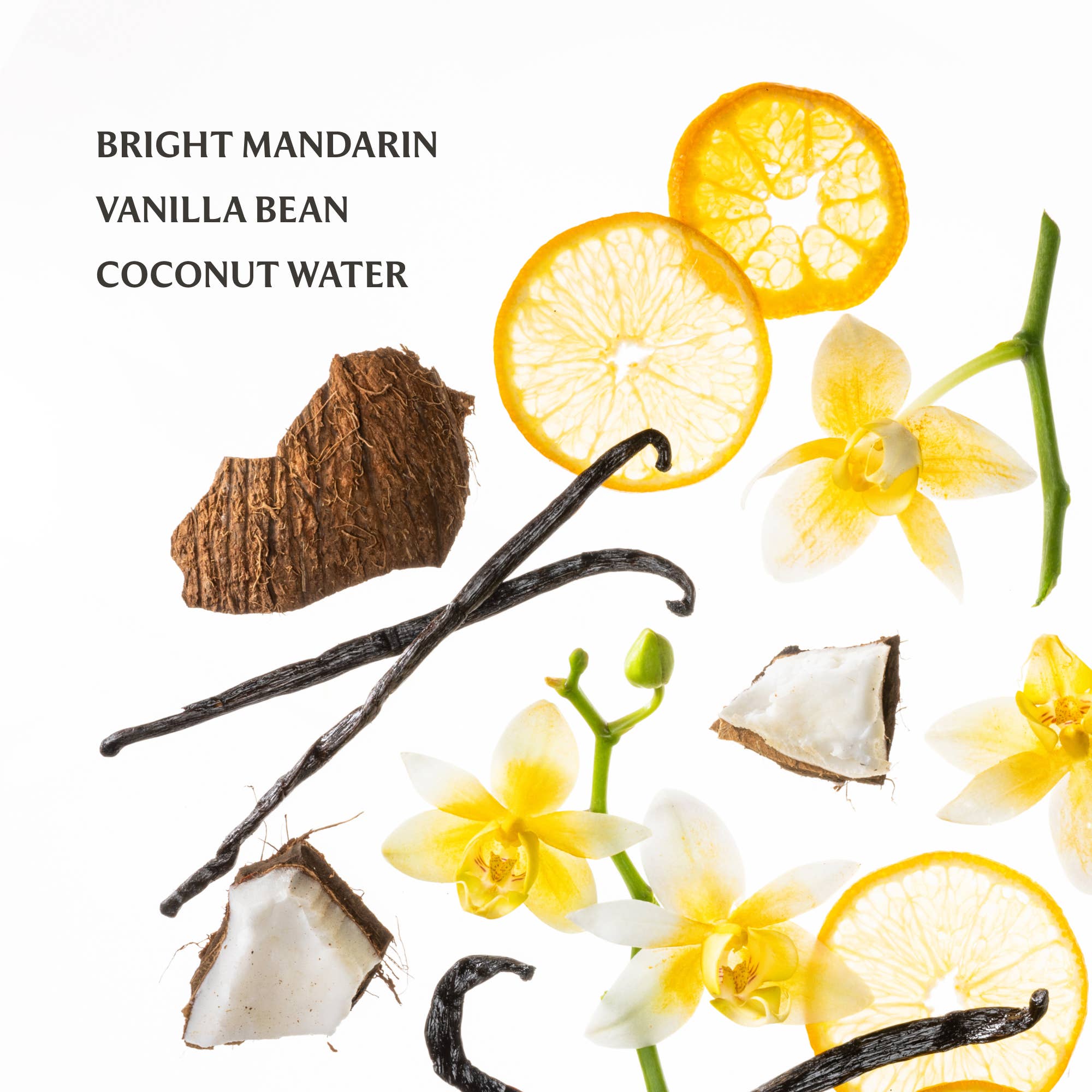 Vanilla Blossom Power Mist Hydrating Hand Sanitizer - Pep & Punch