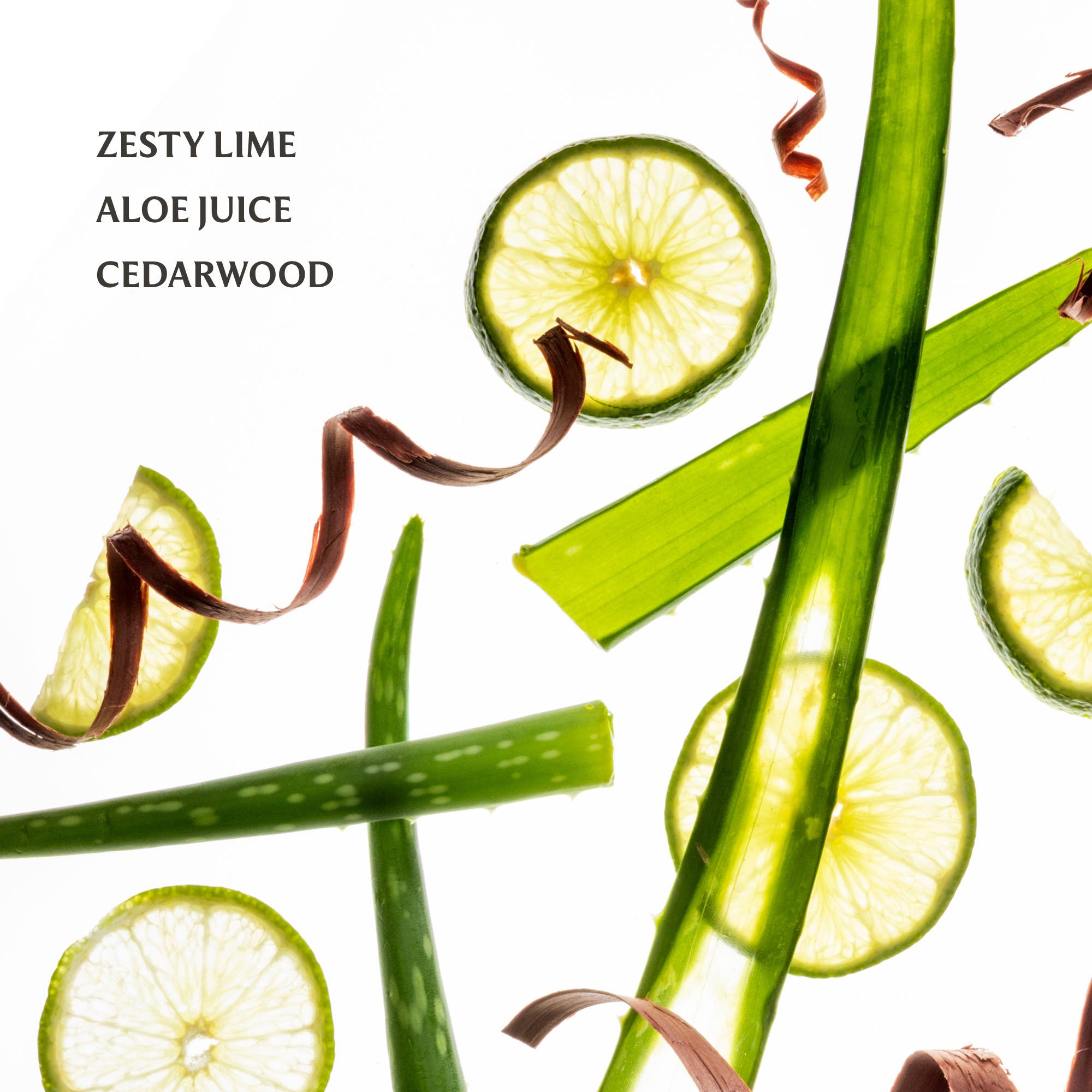 Aloe You Power Mist Hydrating Hand Sanitizer - Pep & Punch