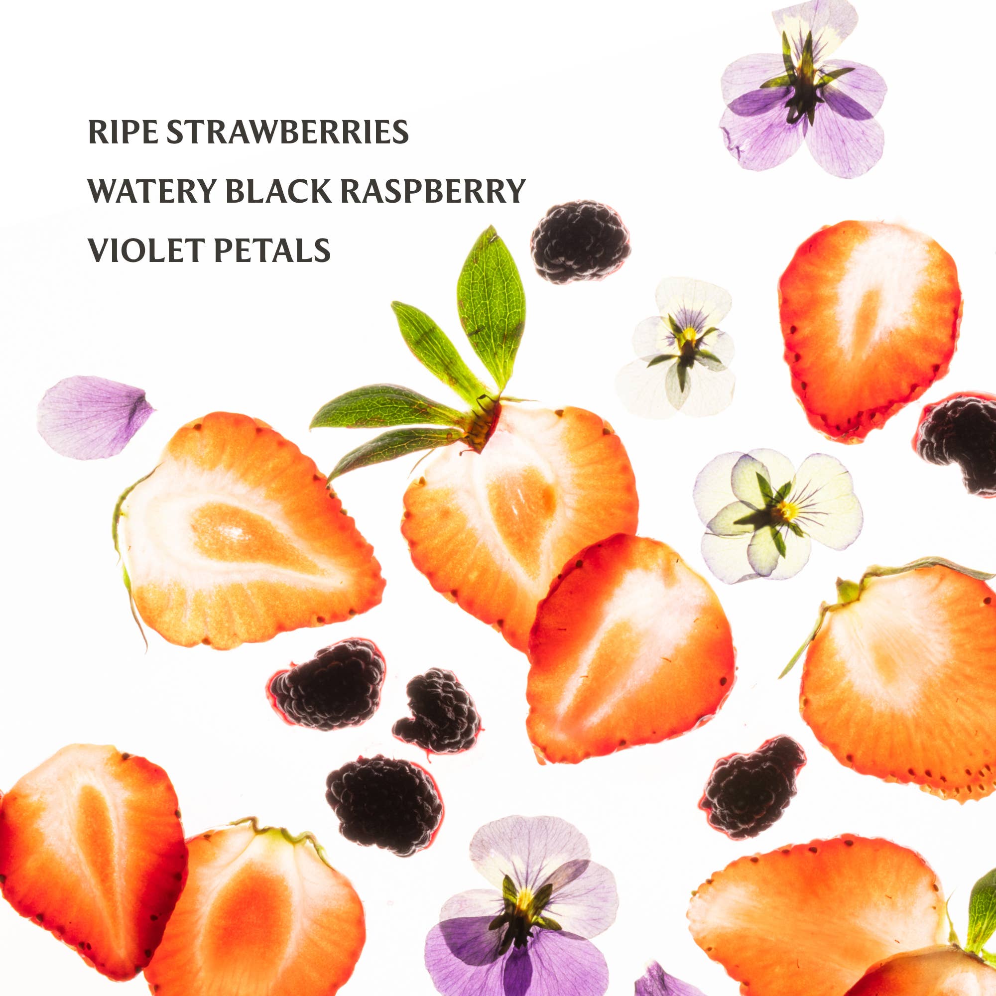 Berry Bliss Power Mist Hydrating Hand Sanitizer - Pep & Punch