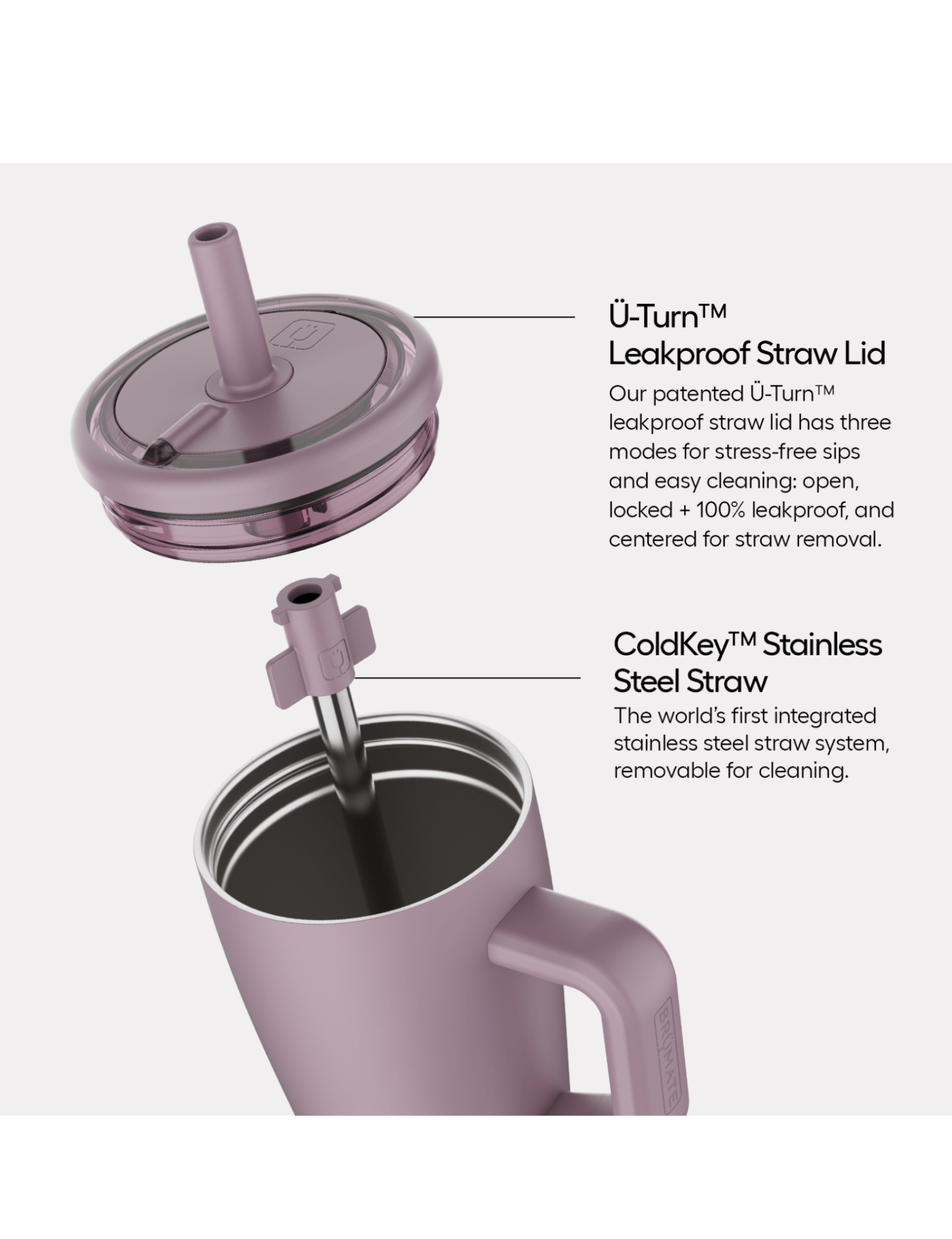 Brümate | Era 20oz Tumbler - Pep & Punch