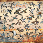 Ducks of North America 1000pc Puzzle - Pep & Punch