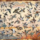Ducks of North America 1000pc Puzzle - Pep & Punch