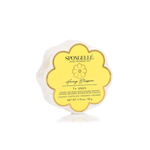 Spongellé | Daisy Spongette - Pep & Punch