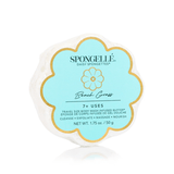 Spongellé | Daisy Spongette - Pep & Punch