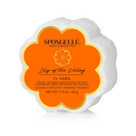 Spongellé | Daisy Spongette - Pep & Punch